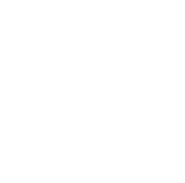 Forged Media